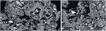 Das linke Bild zeigt die Probe vom Fenster, das rechte Bild die Probe von der Deponie unter dem Mikroskop. Foto: privat