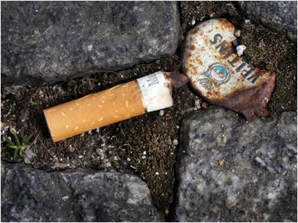 Ausgetretene Zigarette: Aus jedem Stummel können zwei Milligramm Nikotin in den Boden gespült werden. (dpa/picture alliance/Martin Gerten)